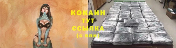 дживик Лихославль