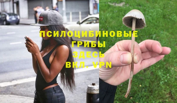 гидропоника Лиски